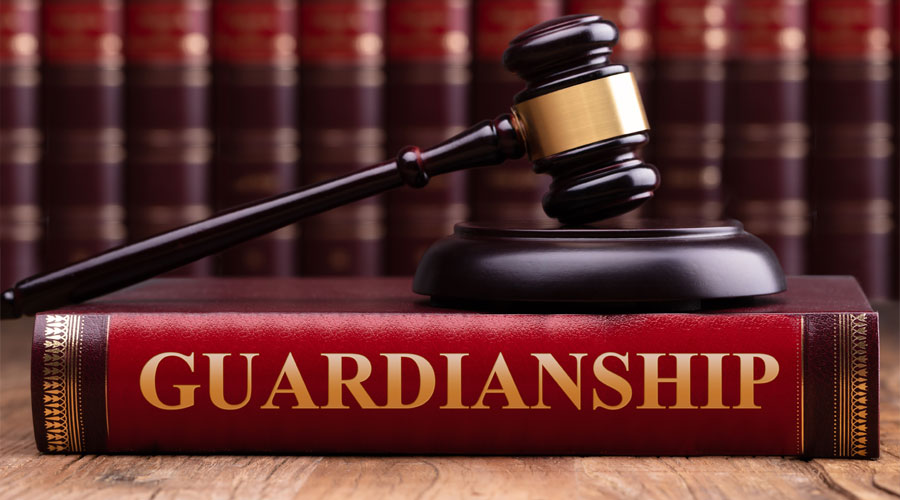 Guardian Ad Litem Services